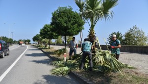 DAHA YEŞİL BİR GİRESUN İÇİN ÇALIŞIYORUZ
