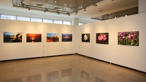 "DOĞAYA DÖNÜŞ" KÜÇÜKÇEKMECE'DE SANATSEVERLERLE BULUŞTU