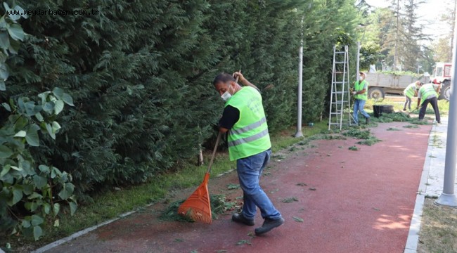 DÜZCE ORTAK KULLANIM ALANLARI BAKIMA ALINDI