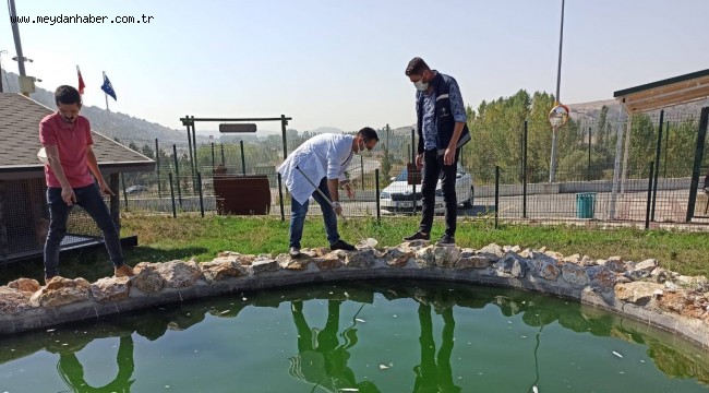 HAŞERELERİN ÜREME NOKTALARI BİYOLOJİK İLAÇLA İLAÇLANIYOR