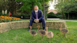 Hayvanat Bahçesi yeni üyelerle büyüyor