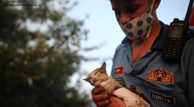 İtfaiyenin Kucağında Hayata Tutundu