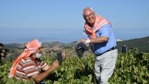 Kavacık Üzüm Festivali Bağbozumuyla Yaşatıldı