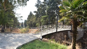 Kudurgan Deresi çiçek gibi