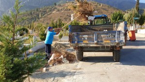 Manisa İli Genelinde Mezarlıklarda Çalışmalar Sürüyor