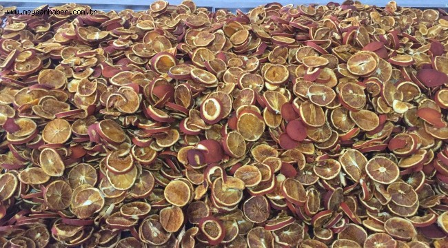 Meyve-Sebze Kurutma Tesisi Kurutuyor, Üretici Kazanıyor