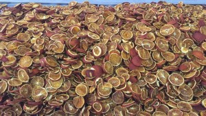 Meyve-Sebze Kurutma Tesisi Kurutuyor, Üretici Kazanıyor