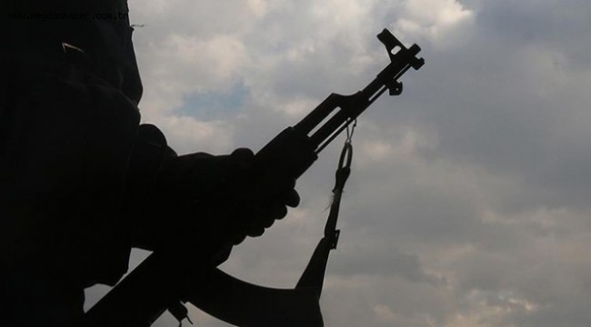 Nijerya'da silahlı saldırı: 17 ölü