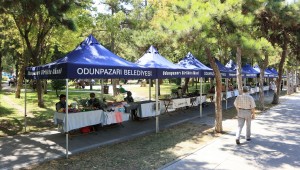 OKEP Aladdin Park'ta 