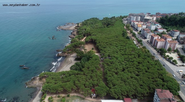 ORDU, ÇAMLIK'TAKİ ÇALIŞMALAR KAMUOYUNA TANITILDI