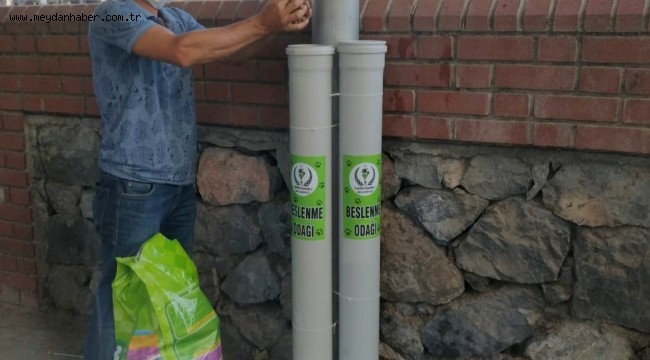 Sokak Hayvanları Aç Kalmasın Diye