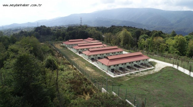 DÜZCE BELEDİYESİ-SOKAK HAYVANLARININ YAŞAM ALANI