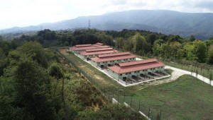 DÜZCE BELEDİYESİ-SOKAK HAYVANLARININ YAŞAM ALANI