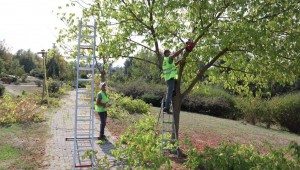 SONBAHAR HAZIRLIKLARI SÜRÜYOR
