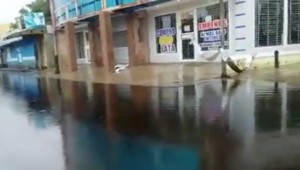 Venezuela'da Yolları Petrol Bastı