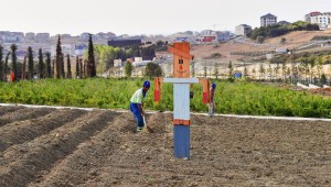 YAŞAM BAHÇESİ KIŞA HAZIRLANIYOR