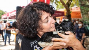 YEM FİYATLARI ARTARKEN SÜT FİYATLARI YERİNDE SAYIYOR.  KÖYLÜ BORÇ İÇİNDE İNEKLER KESİM HANEDE...