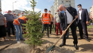 Yenimahalle'den belediye çalışanları için hatıra ormanı
