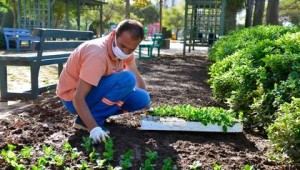 600 bin mevsimlik çiçek