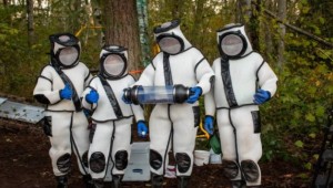 ABD'de katil arı operasyonu