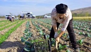 Aliağalı Kadınlardan Doğal Tarım Atağı