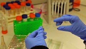 Ar-Ge harcamalarında son 10 yılın rekoru kırıldı !