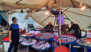 Balıkçı Tezgahlarına Mavi Işık Denetimi