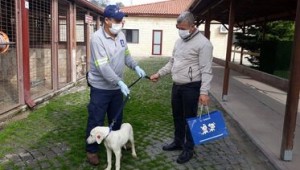 Binlerce sokak hayvanına sıcak yuva bulduk