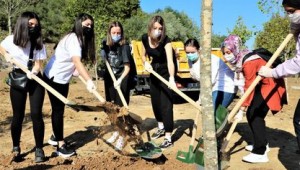 Bir fidan Kocaeli'ye bir fidan Hatay'a