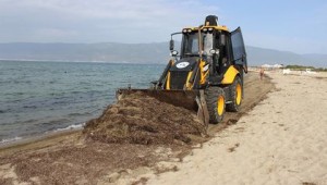 BURHANİYE SAHİLLERİ TEMİZLENDİ