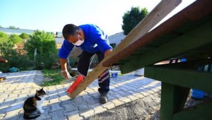 Büyükşehir'den Kediler İçin Kışa Hazırlık