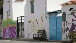 Evlerin Duvarları Lavanta Bahçesine Dönüştü