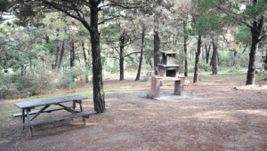 Gaziler Dağı'nda temizlik çalışması