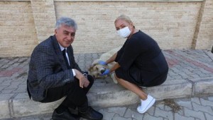 Hayvan Dostu Gündüz Çiftine Başkandan 'İnce' Ziyaret