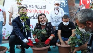 İzmit Belediyesinden Gültepe'de gül kokulu festival