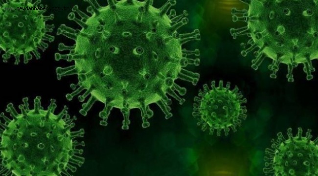 Koronavirüs mutasyonu: Daha hızlı ve daha ölümcül