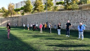 Meme kanseri için pembe maskeyle plates