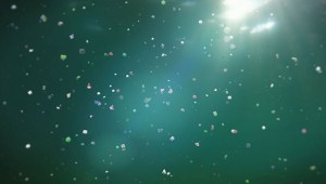 Okyanusların tabanında 14 milyon ton mikroplastik atık bulunuyor!