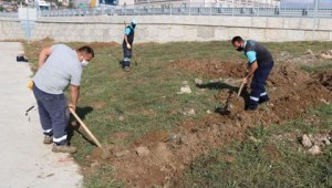  Otogar Köprülü Kavşağı yeşillendiriliyor