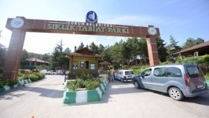 Sıklık Tabiat Parkı'nda İşlem Tamam