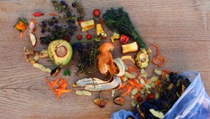 Türkiye'de her yıl 14,5 milyon ton gıda çöpe atılıyor!