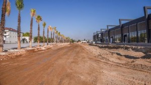 Tütüncü "Altınova'ya çok emek verdik"