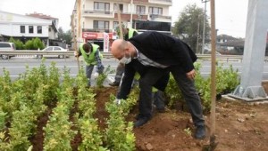 YEŞİL DÜZCE HİSSEDİLECEK