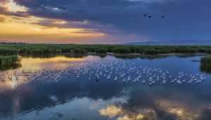 3 bölge 'kesin korunacak hassas alan' ilan edildi!