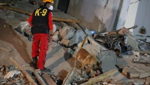 Arama kurtarma köpekleri İzmir'de onlarca cana umut oldu