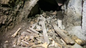 Diyarbakır'da Roma dönemine ait mezar odaları bulundu