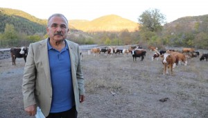 HAYVAN BAKIM OTELİ TALEBE YETİŞEMİYOR