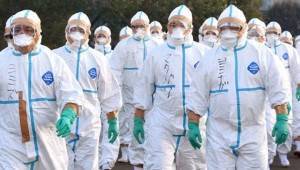 Japonya'nın Kagawa eyaletinde kuş gribi vakası