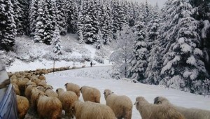 Meteoroloji uyardı: 2 ilde kar bekleniyor
