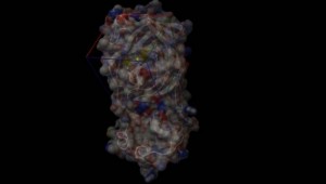 Türk bilim insanlarından koronavirüse karşı koku molekülleri tespiti